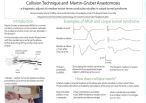 Heade, Jessica: Collision Technique and Martin-Gruber Anastomosis – a diagnostic adjunct to median motor nerve conduction studies in carpal tunnel syndrome