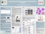 Ita, Michael: Development of a Pre-Clinical Model of Melanoma Brain Metastasis using Mouse B16F10-Luc melanoma cells and the characterisation of tissue-blood biomarkers of therapeutic response and disease progression