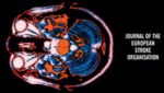 Updated Stroke Action Plan is published in the European Stroke Journal – Jan 2026.